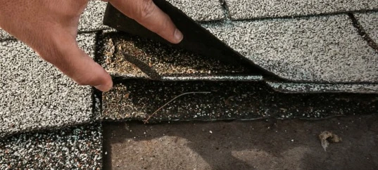 Close-up of a hand lifting a damaged asphalt shingle to begin professional roof repair services.