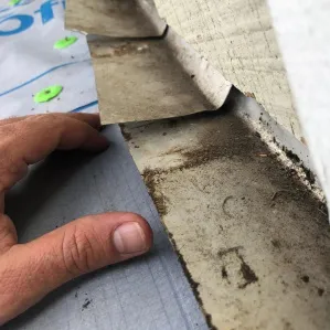 Close-up of dirt and water damage under roofing material, demonstrating why roof replacement financing made simple is the best solution for repairs.