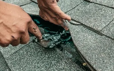 Close-up of a roofing company Florida technician repairing a roof leak by applying sealant under asphalt shingles.