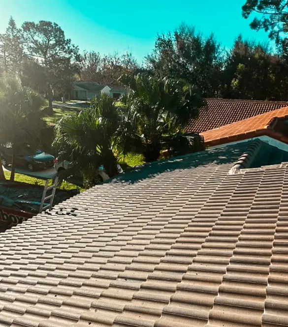 Sunny view of a residential roof restoration project by a professional tile roof repair service.