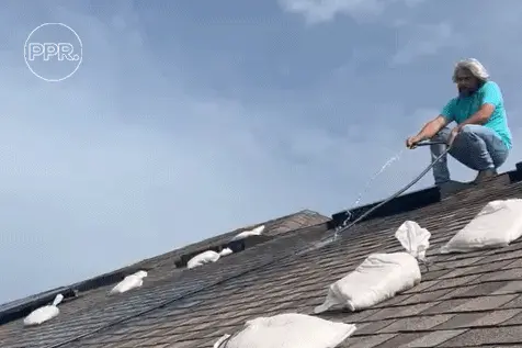 A roofing technician from Protect Preserve Roofing performs a water test on a shingle roof with a hose to find the source of a leak.