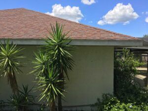 3 tab shingles is the least expensive roof option.