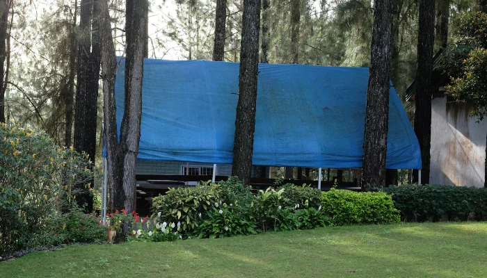 House in the middle of the forest with the roof covered by a blue tarp to represent the keyword costs blue tarp installed.