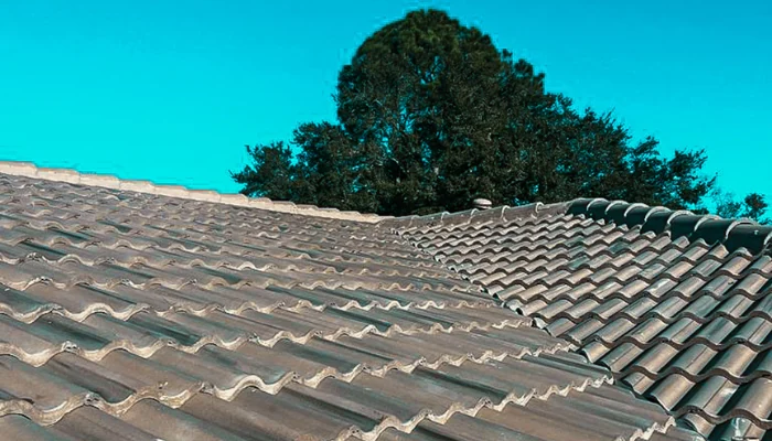 Tile roof at dawn to represent the keyword other type of roof.