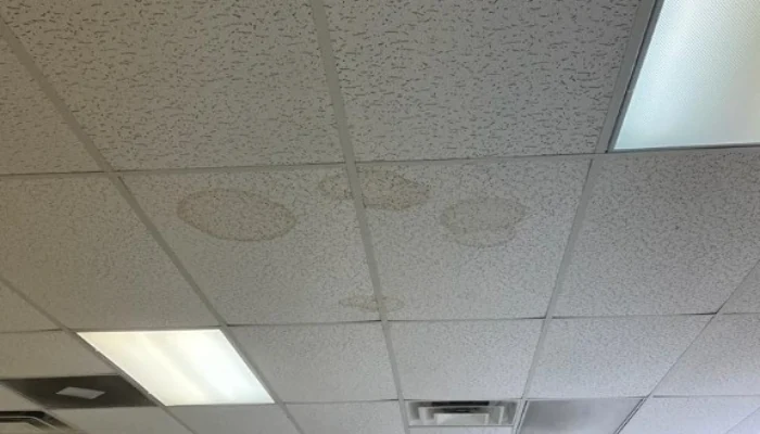 Ceiling with infiltration stains to represent the keyword leaking roof.
