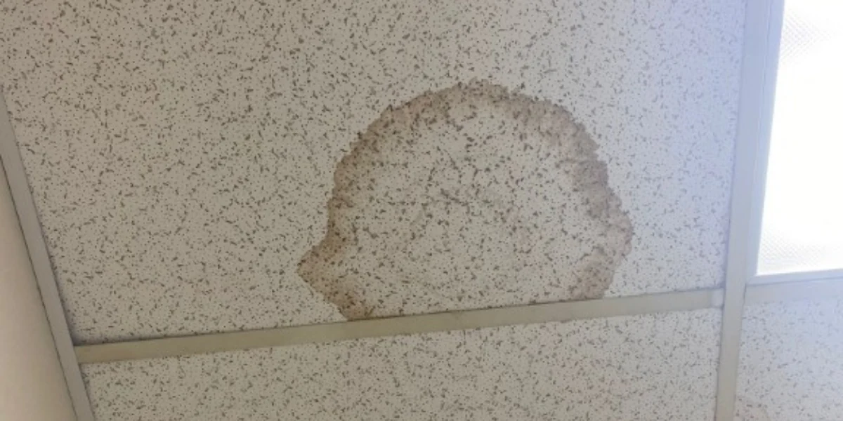 Roof with infiltration to represent the keyword leaky roof tarp.