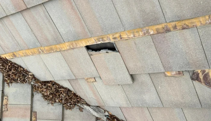 Roof with storm damage to represent keyword roof problem to be fix.