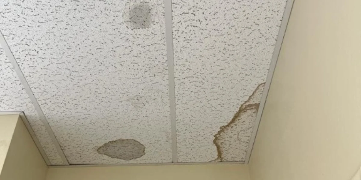 Ceiling with infiltration points to represent the keyword water damage from leaking roof.