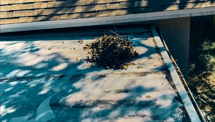 Dirt on the roof to represent the keyword what causes roof leaks.