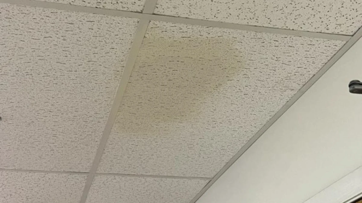 Common Causes of a Leaking Metal Roof and How to Fix