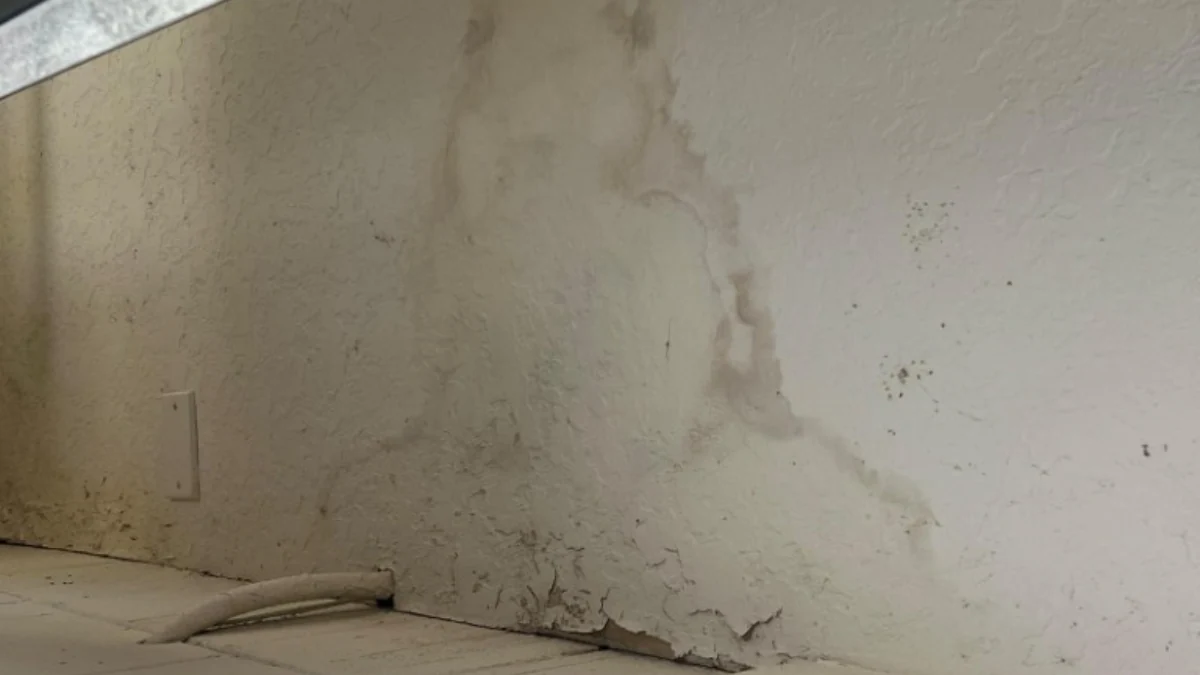 Interior of a house with a roof damaged by leaks to represent the keyword determine water damage from a leaking roof.