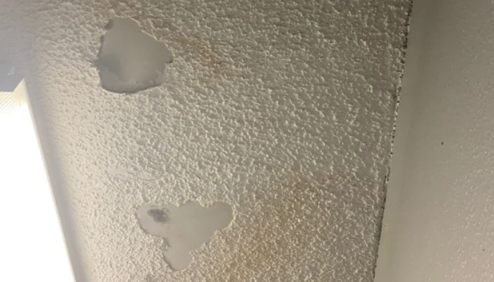 Ceiling with infiltration stains to represent the keyword interior water damage.
