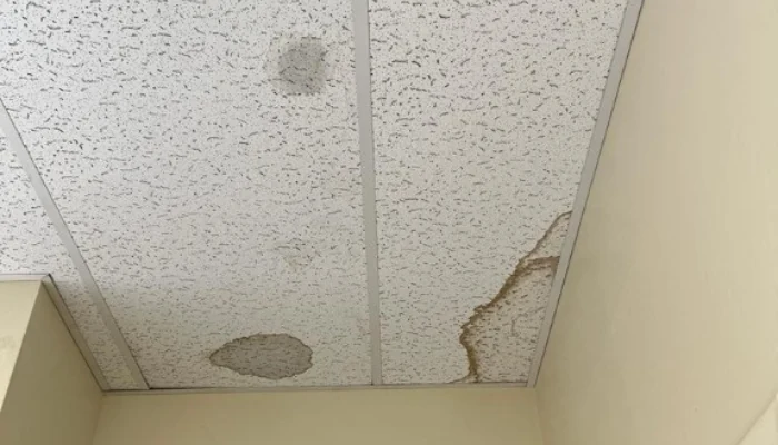 Lining inside each showing infiltration points to represent the keyword roof leak damage.