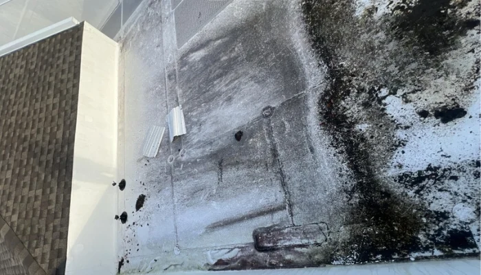 Flat roof to represent the keyword roof repair issue.