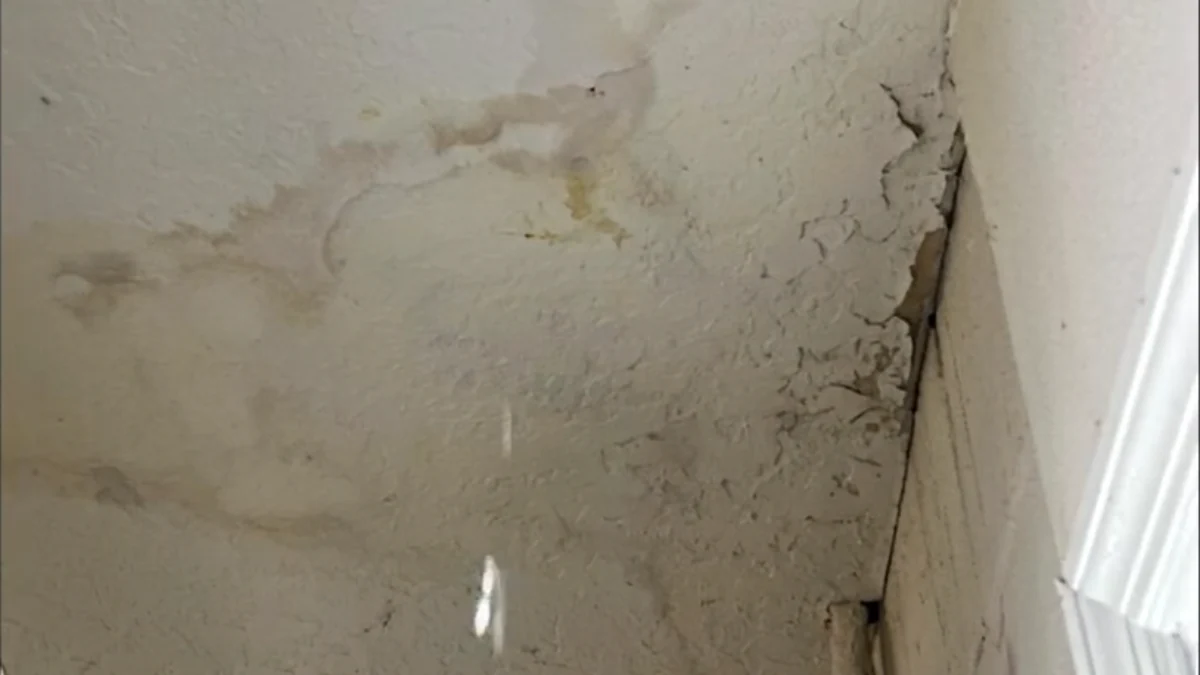 Ceiling with infiltration stains to represent the keyword what roofing materials are used in roof leak repair.