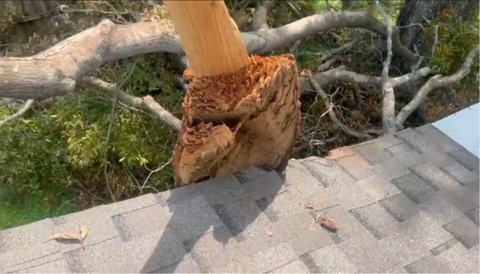 Storm damage to roof with a timber to represent the keyword damage from severe weather.