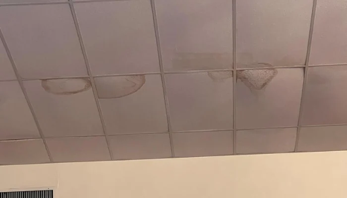 Leakage stains on a roof to represent the keyword leak roof problem.