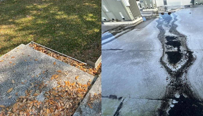 Two types of roof damage from different climates to represent the keyword preventing flat roof problems.