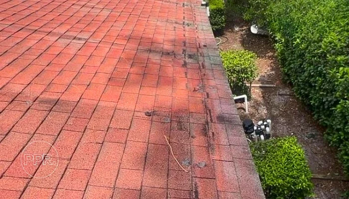 Roof showing storm damage to represent keyword cost to repair shingle roof.