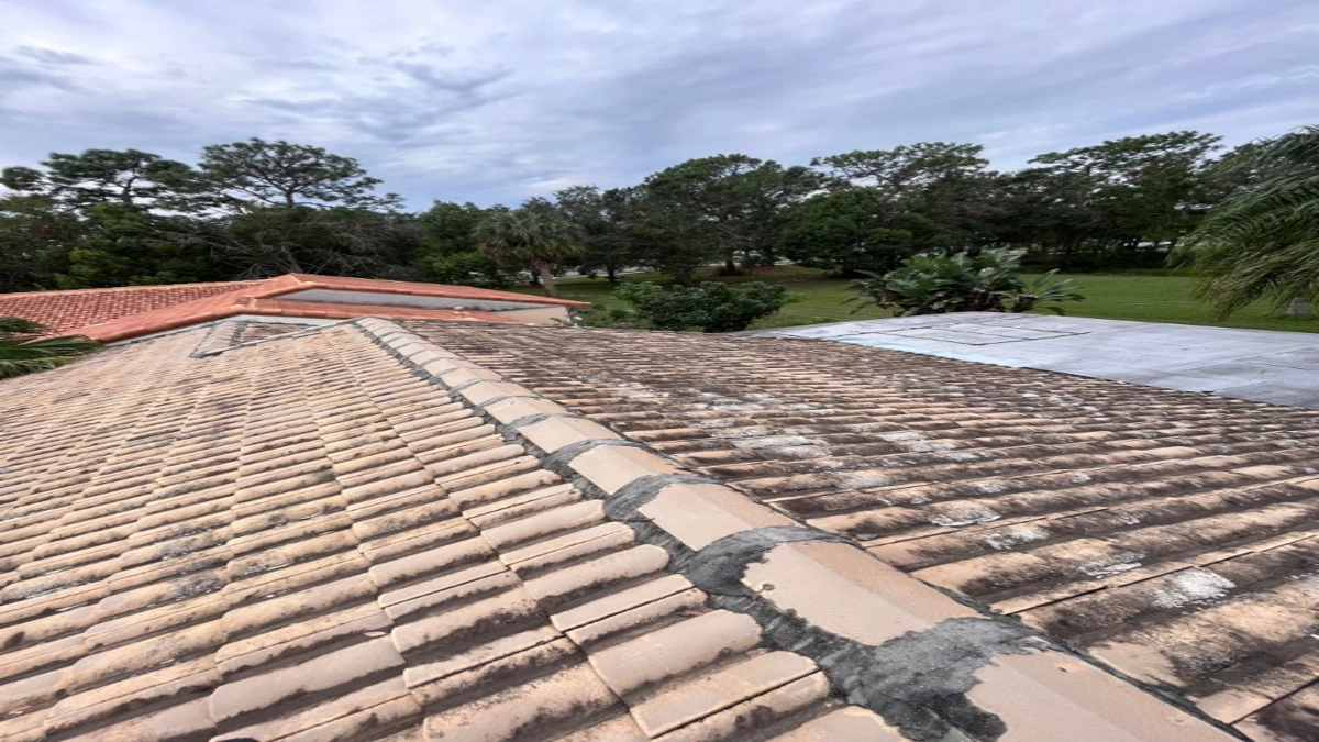 How Old Is My Roof? Easy Ways to Find Out Its True Age