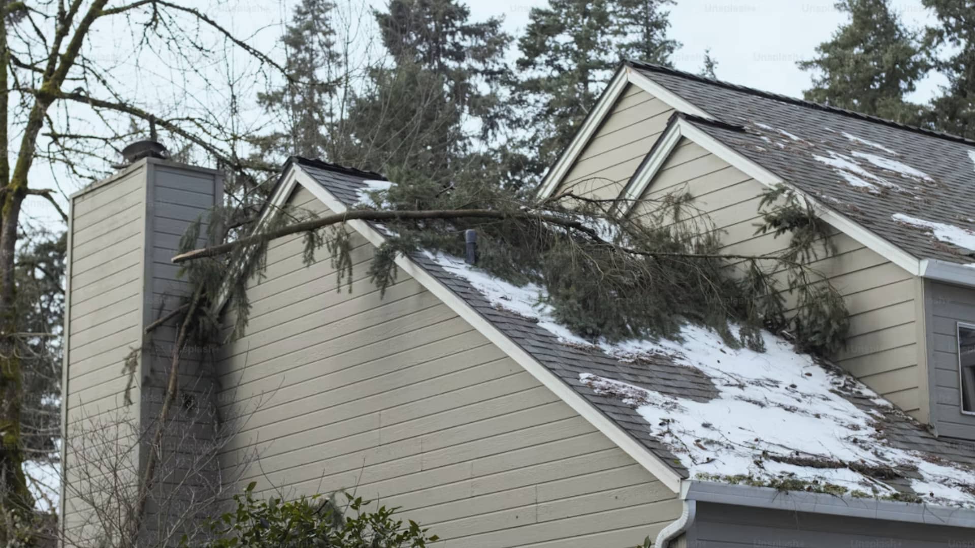 Large fallen tree branch resting on a residential shingle roof after storm damage.
